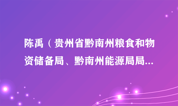 陈禹（贵州省黔南州粮食和物资储备局、黔南州能源局局长、黔南州发展和改革委员会主任）
