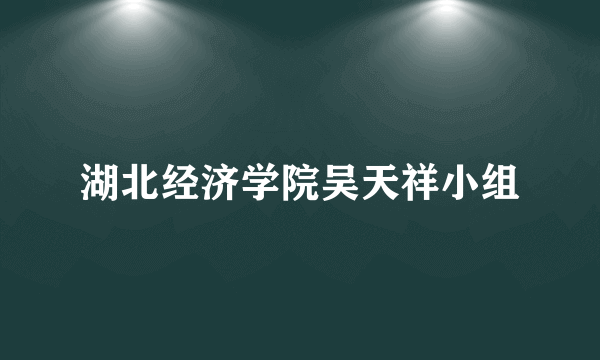 湖北经济学院吴天祥小组