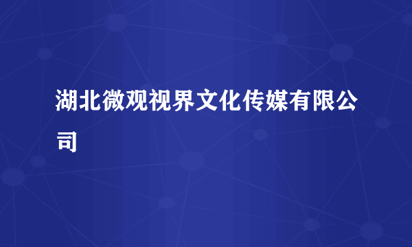 湖北微观视界文化传媒有限公司