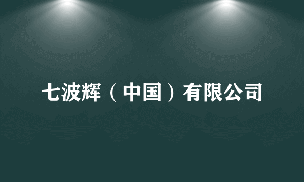 七波辉（中国）有限公司