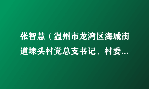 张智慧（温州市龙湾区海城街道埭头村党总支书记、村委会主任）