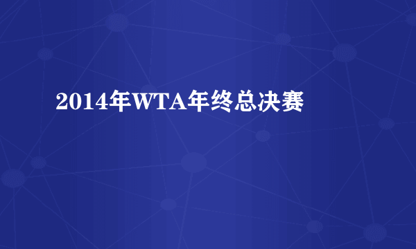 2014年WTA年终总决赛