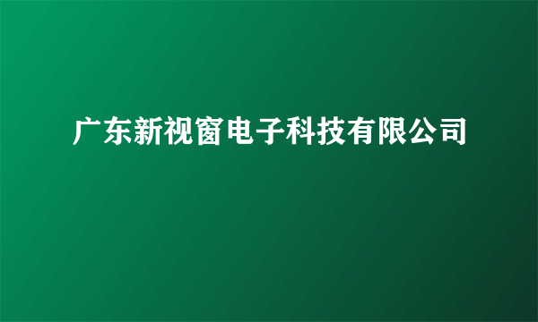 广东新视窗电子科技有限公司