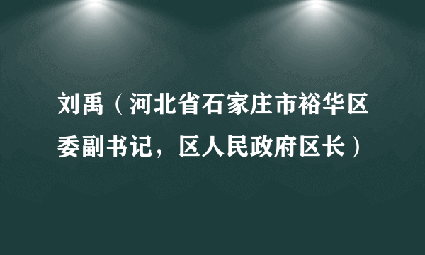 刘禹（河北省石家庄市裕华区委副书记，区人民政府区长）