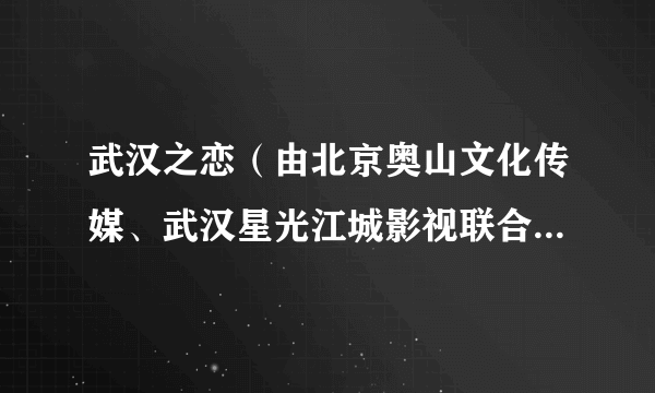武汉之恋（由北京奥山文化传媒、武汉星光江城影视联合出品制作的当代题材电视剧）