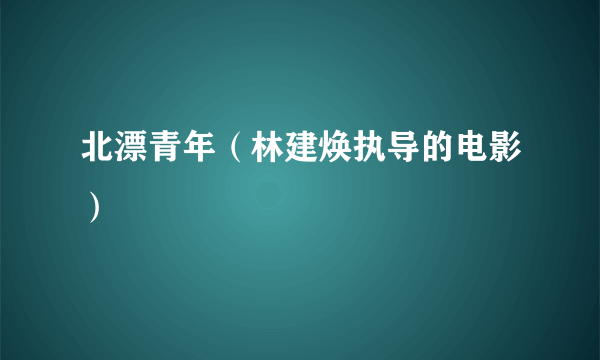 北漂青年（林建焕执导的电影）