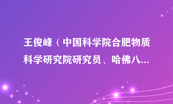 王俊峰（中国科学院合肥物质科学研究院研究员、哈佛八剑客之一）