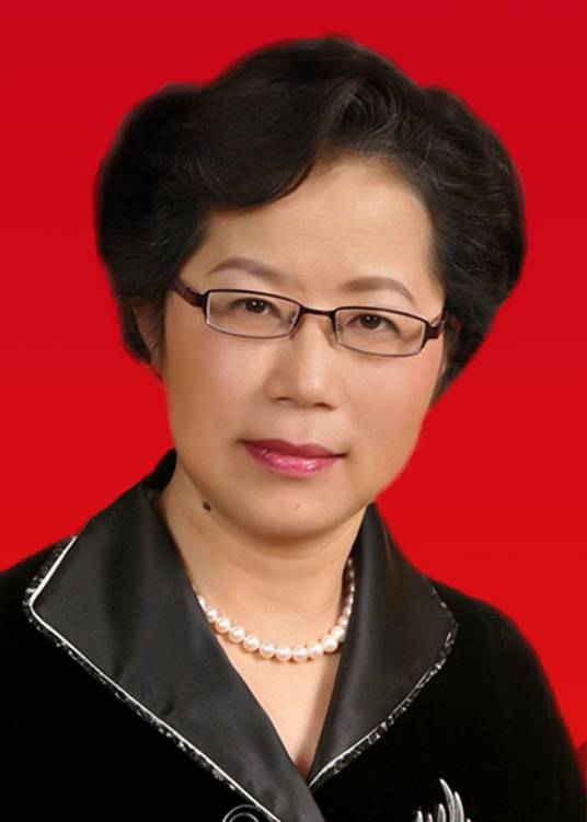 黄晨（上海理工大学教授）