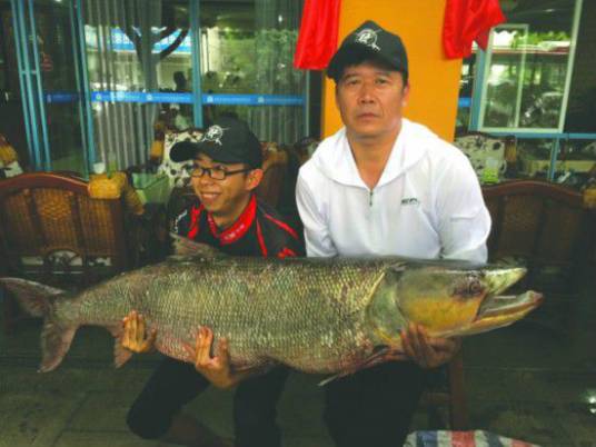 6.28成都父子垂钓鳡鱼事件