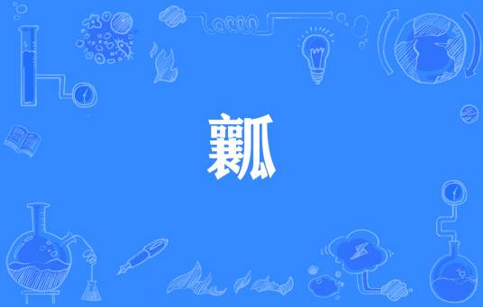 瓤（网络流行词）