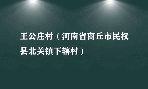 王公庄村（河南省商丘市民权县北关镇下辖村）