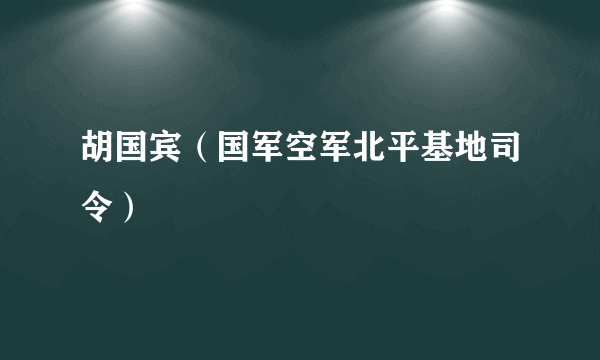 胡国宾（国军空军北平基地司令）