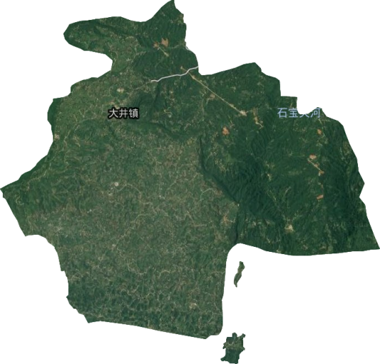 大井镇（四川省宜宾市江安县下辖镇）
