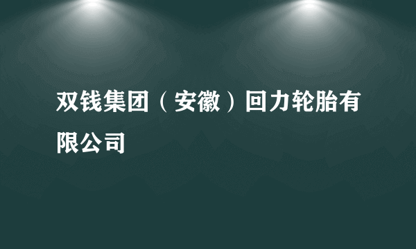 双钱集团（安徽）回力轮胎有限公司