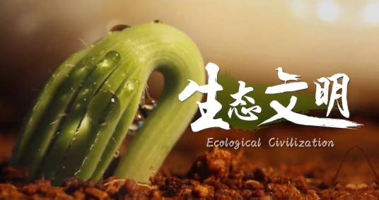 生态文明（南开大学建设的慕课）