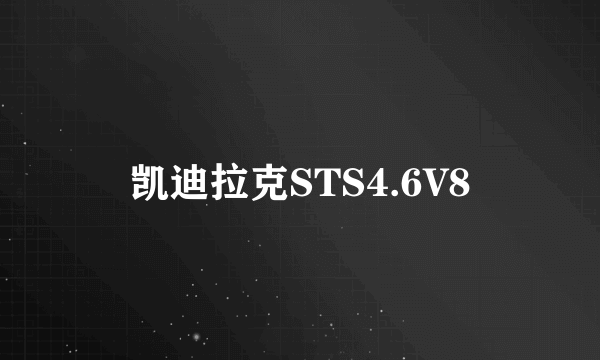 凯迪拉克STS4.6V8