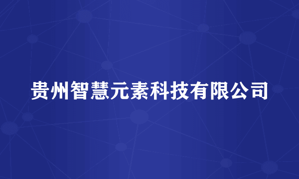 贵州智慧元素科技有限公司