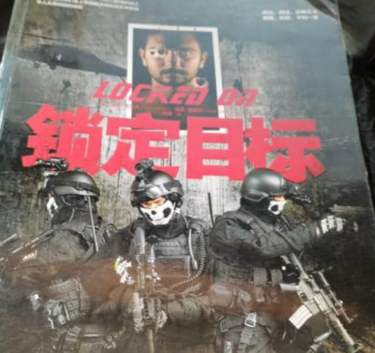 锁定目标（图书）