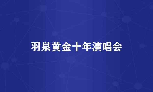 羽泉黄金十年演唱会
