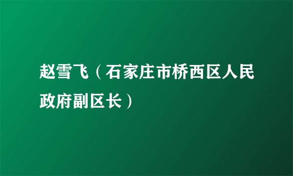 赵雪飞（石家庄市桥西区人民政府副区长）
