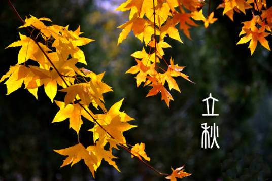 立秋（左河水的节气诗）