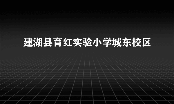 建湖县育红实验小学城东校区