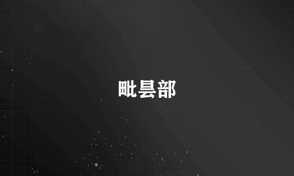 毗昙部