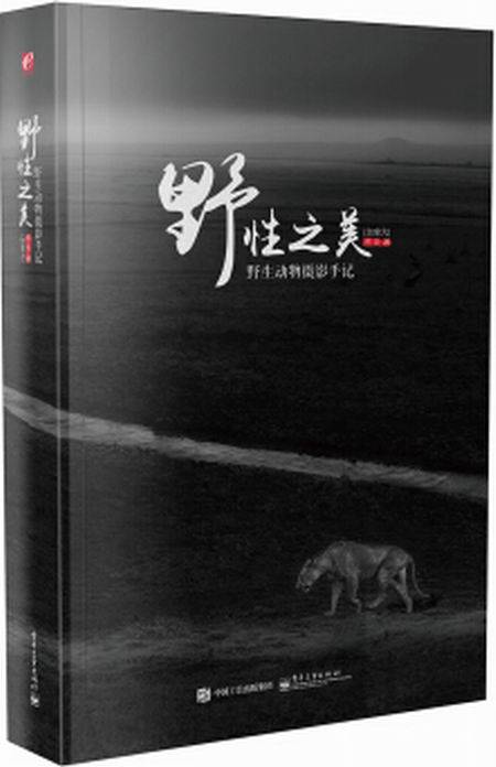 野性之美：野生动物摄影手记（全彩）