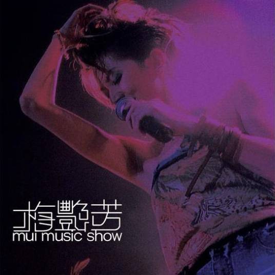 有心人（梅艳芳翻唱歌曲）