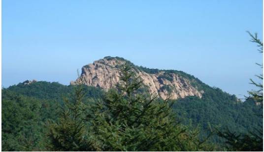 沂山镇