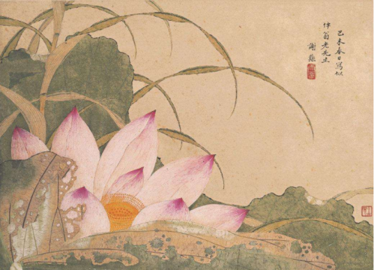 荷花图（清代谢荪创作纸本设色画）