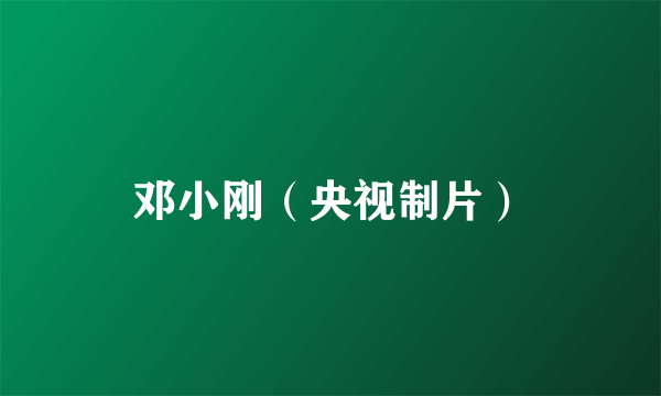 邓小刚（央视制片）