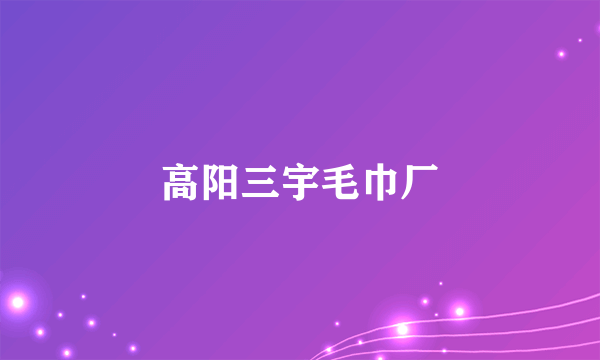 高阳三宇毛巾厂