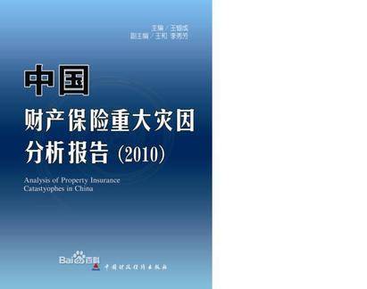 中国财产保险重大灾因分析报告2010