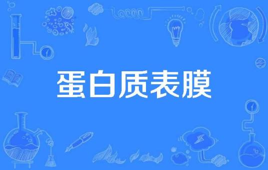 蛋白质表膜