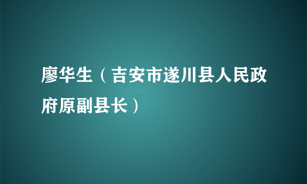 廖华生（吉安市遂川县人民政府原副县长）