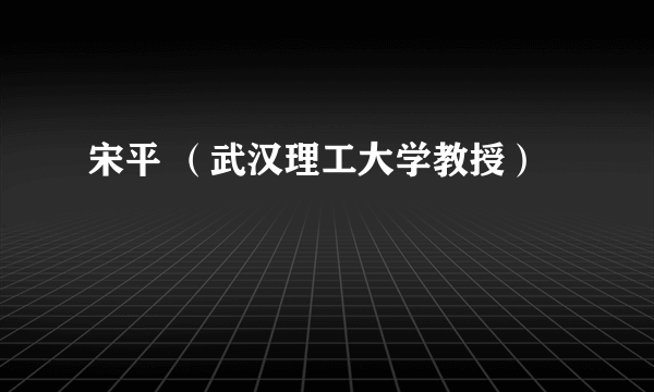宋平 （武汉理工大学教授）