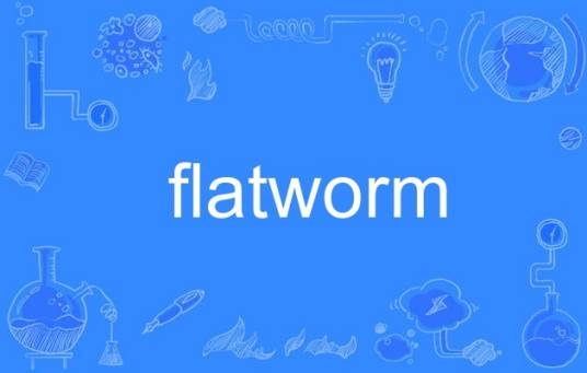 flatworm