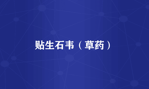 贴生石韦（草药）
