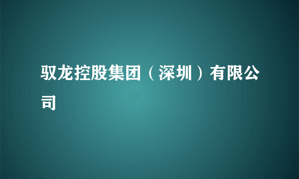 驭龙控股集团（深圳）有限公司