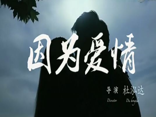 因为爱情（2013年杜泓达执导的剧情电影）