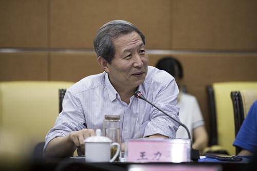 王力平（中国文联第十一届全国委员会委员）