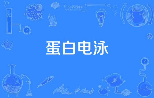 蛋白电泳