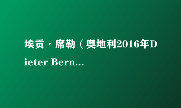 埃贡·席勒（奥地利2016年Dieter Berner执导的剧情电影）
