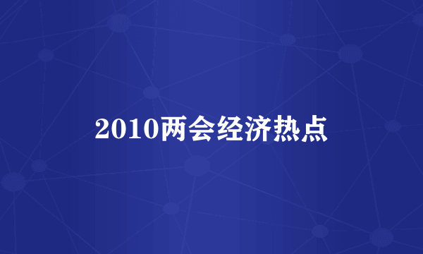 2010两会经济热点
