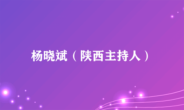 杨晓斌（陕西主持人）