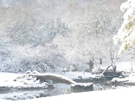 眉间雪（2010年古代传奇电视剧）
