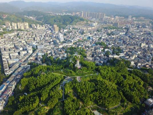 罗阳镇（浙江省温州市泰顺县辖镇）