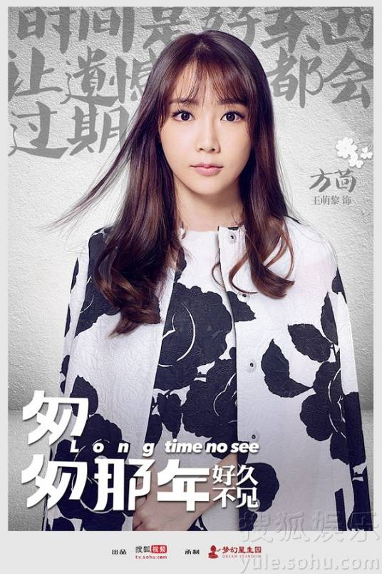 方茴（2016年网剧《匆匆那年2》人物）