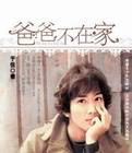 爸爸不在家（2004年新疆青少年出版社出版的图书）